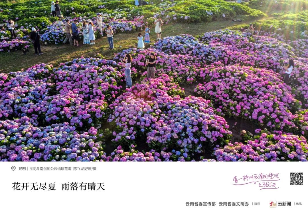 &#24320;&#20113;&#32593;&#39029;&#29256;